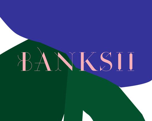  A Flower for the Banks of Barangaroo - Banksii