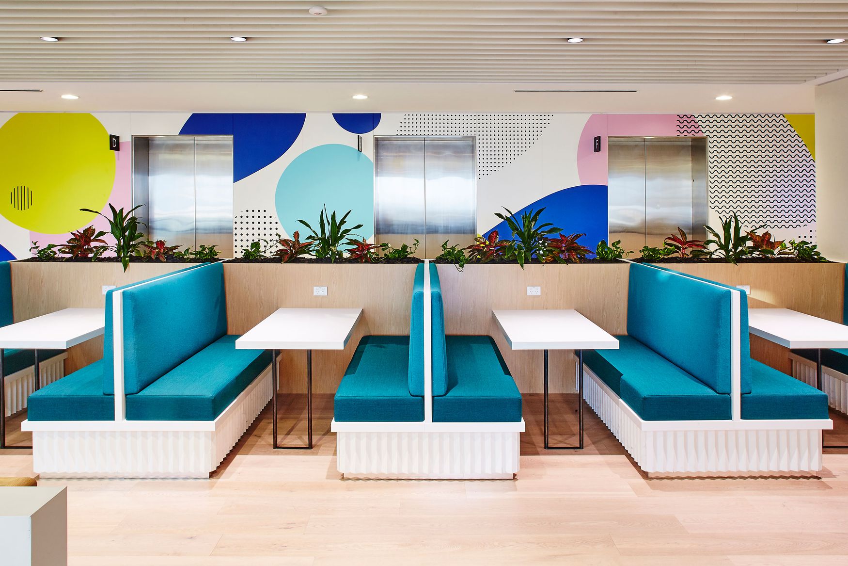  An Organic Place to Work